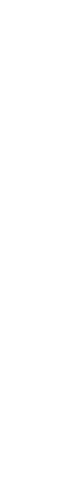 Decorative Shape